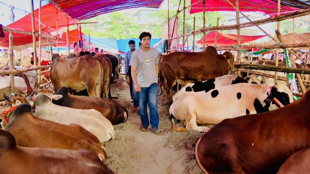 বৃষ্টির কারণে ক্রেতা শূন্য কোরবানির হাট, দুর্ভোগে খামারিরা 4c7198a8-8656-4d90-8da9-c2421e728e9b