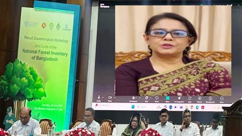 বন ও প্রাকৃতিক সম্পদের ব্যবস্থাপনায় সকলের অংশগ্রহণ জরুরি:  রিজওয়ানা হাসান