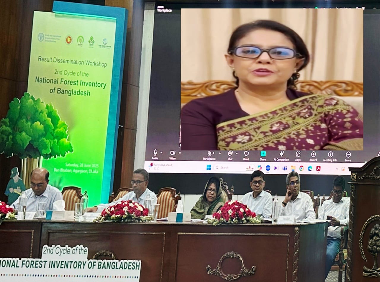 বন ও প্রাকৃতিক সম্পদের ব্যবস্থাপনায় সকলের অংশগ্রহণ জরুরি:  রিজওয়ানা হাসান