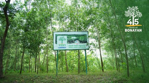সবুজ বাংলাদেশের স্বপ্ন সারথি: বনায়নের চার দশকের অগ্রযাত্রা