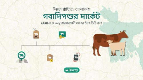 ২০২৫-এর কোরবানির পশুর অনলাইন বাজার: Bikroy-এর ডাটা ভিত্তিক বিশ্লেষণ