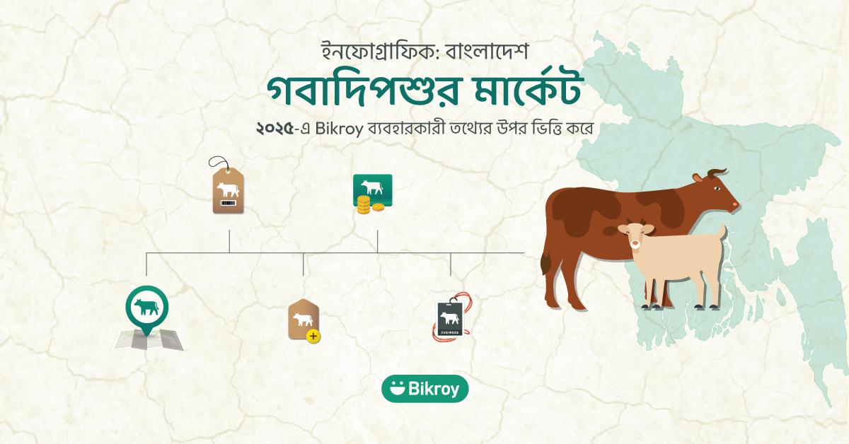 ২০২৫-এর কোরবানির পশুর অনলাইন বাজার: Bikroy-এর ডাটা ভিত্তিক বিশ্লেষণ