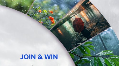 বর্ষায় ফটোগ্রাফি ক্যাম্পেইনে মেতেছে ভিভো