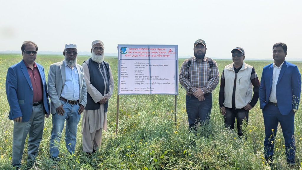 হাওরে স্বল্পমেয়াদি সরিষা চাষ, বাড়তি লাভের সম্ভাবনা কৃষকদের IMG-20260209-WA0023