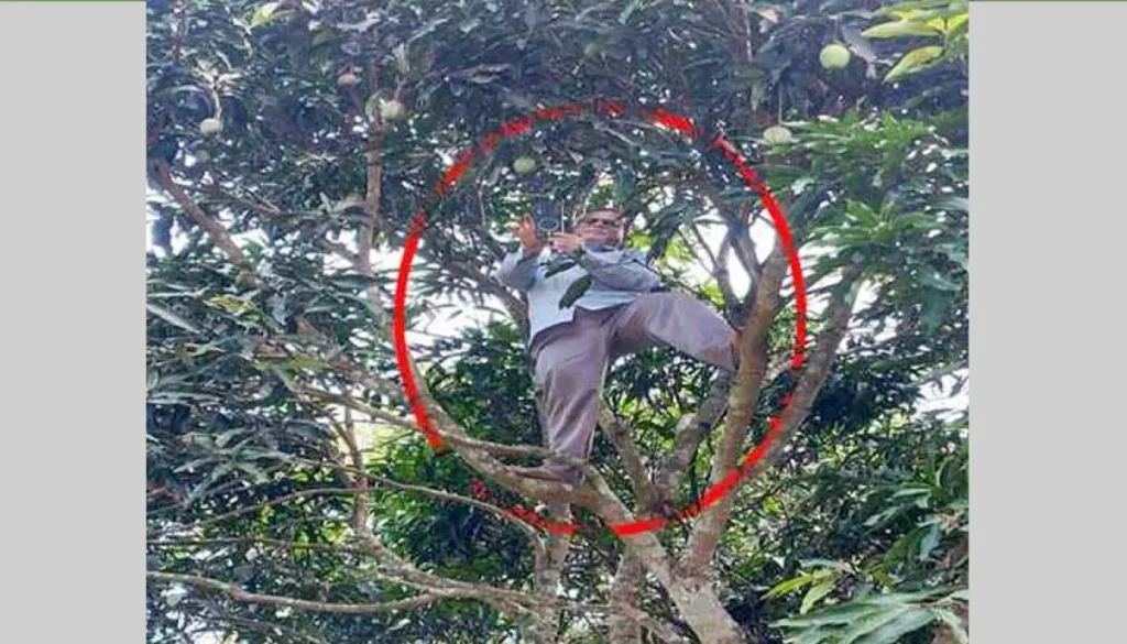 অনলাইনে হাজিরা দিতে গাছের মাথায় শিক্ষক অনলাইনে হাজিরা দিতে গাছের মাথায় শিক্ষক