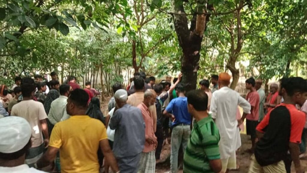 নিখোঁজের ৭ দিন পর মুরগির বিষ্ঠার গর্তে মিলল বৃদ্ধার লাশ dead-2609210431