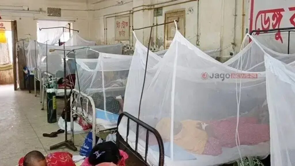 ডেঙ্গুতে মৃতের সংখ্যা বাড়ছেই, পৌঁছালো ১৪১ জনে dengu-mtx519hlhf6tb6h-20260911215735