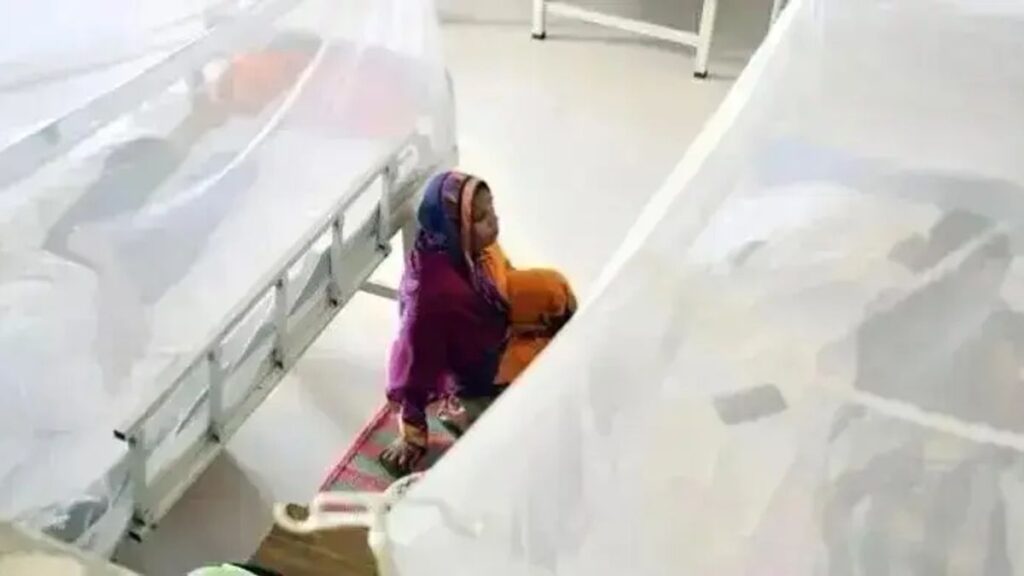 ডেঙ্গু নিয়ে হাসপাতালে ভর্তি ৫০ হাজার ছাড়ালো, মৃত্যু ১৪৩ dengu2-mtyccz2e3horipe-20260912181015