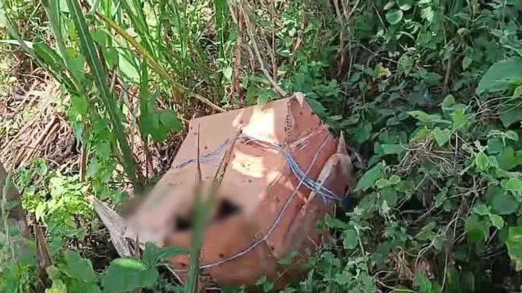 ফরিদপুরে কার্টন থেকে অজ্ঞাত ব্যক্তির ৬ টুকরো মরদেহ উদ্ধার faridpiur-20260912144233
