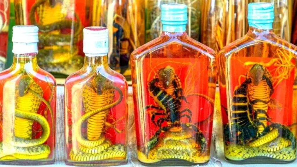 সাপ ডোবানো ‘স্নেক ওয়াইন’ দক্ষিণ-পূর্ব এশিয়ার দেশগুলোতে কেন এত জনপ্রিয় sn1-mu1j5zjfo1x1x59-20260914234918