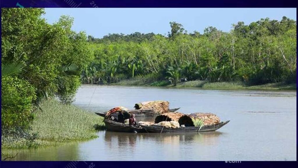 সুন্দরবনের ঢাংমারী খালে কুমিরের আক্রমণ sundarban-2609220540