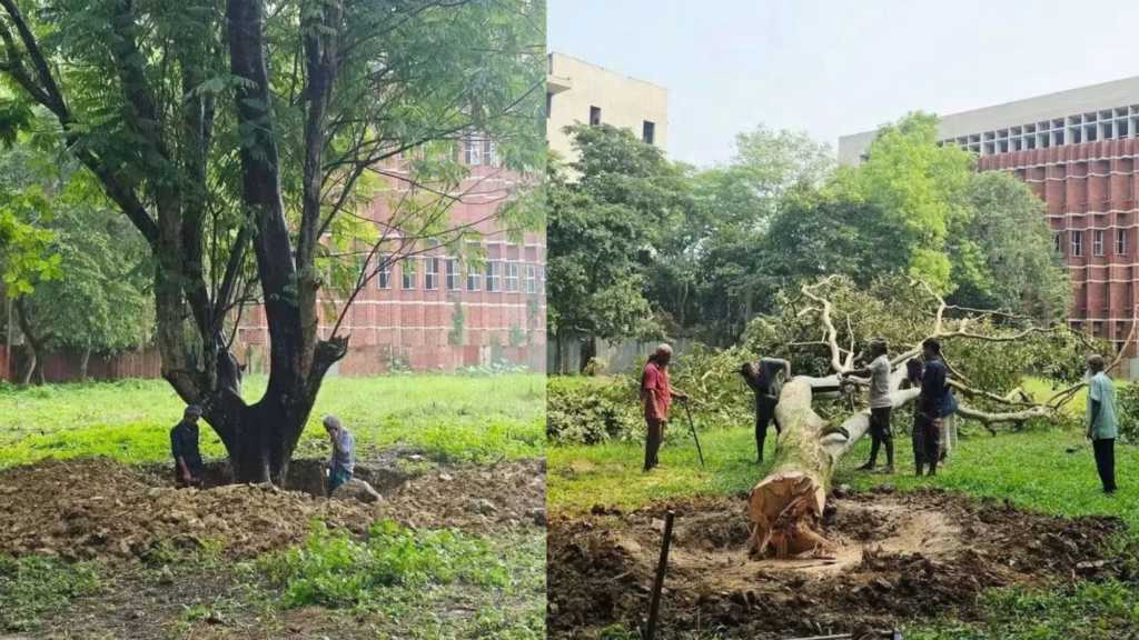 জাবিতে লাইব্রেরির পাশে মাঠ নির্মাণ ঘিরে তিন পক্ষের ভিন্ন অবস্থান, প্রশাসনের পরিকল্পনা নিয়ে প্রশ্ন জাবিতে লাইব্রেরির পাশে মাঠ নির্মাণ ঘিরে তিন পক্ষের ভিন্ন অবস্থান, প্রশাসনের পরিকল্পনা নিয়ে প্রশ্ন