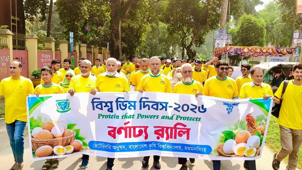 ডিম উৎপাদনে বাংলাদেশ এখন বিশ্বে নবম, চাহিদার চেয়ে বেশি উৎপাদন: বাকৃবির সেমিনারে বক্তারা ডিম উৎপাদনে বাংলাদেশ এখন বিশ্বে নবম, চাহিদার চেয়ে বেশি উৎপাদন: বাকৃবির সেমিনারে বক্তারা