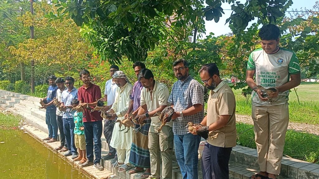 পাবিপ্রবির লেকে ১৪টি পাতি সরালি হাঁস অবমুক্ত করল পাখিপ্রেমীরা পাবিপ্রবির লেকে ১৪টি পাতি সরালি হাঁস অবমুক্ত করল পাখিপ্রেমীরা