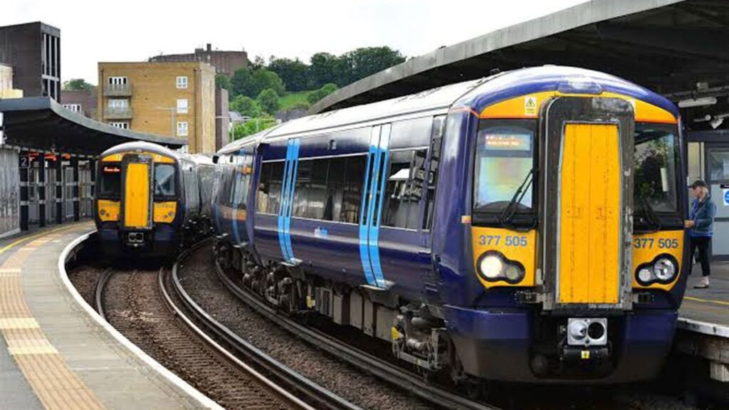 bedbug-train