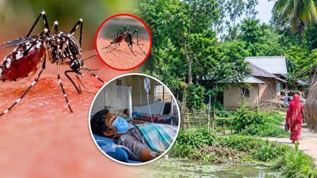 গ্রামাঞ্চলে ছড়িয়ে পড়ছে ডেঙ্গু, ঝুঁকিতে রোগীরা debug-2-6abc4b.og-image-fcb8db