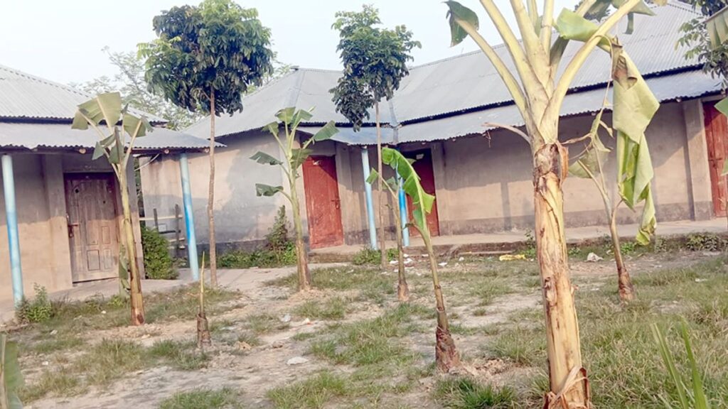 ছেলে-পুত্রবধূকে চাকরি না দেওয়ায় স্কুলের মাঠে কলাগাছ লাগালেন জমিদাতা pthy_bMRVcM3