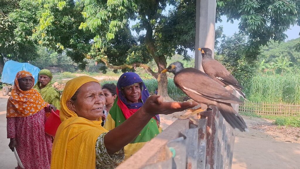 thakurgaondh05972026100220261002085637